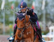 CHIMIRRI V GINGER CampITA2013- S5 1431 : CHIMIRRI VINCENZO, Campionati Italiani 2013, Cattolica, GINGER, Horse Riviera Resort, foto di Stefano Secchi ©